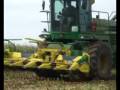 ensilage de mais 2008