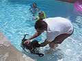 George's 1st swim