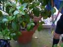 Esperimenti del Dr Marani.wmv