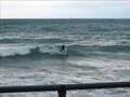 Surf Kimi 24-1-2008