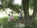2007 Summer Visit to Borchers Farm Nebraska.wmv 2007 Summer Visit to Borchers Farm Nebraska.wmv