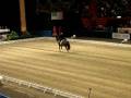 Jan Brink och Briar