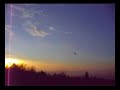 Aereo Drello