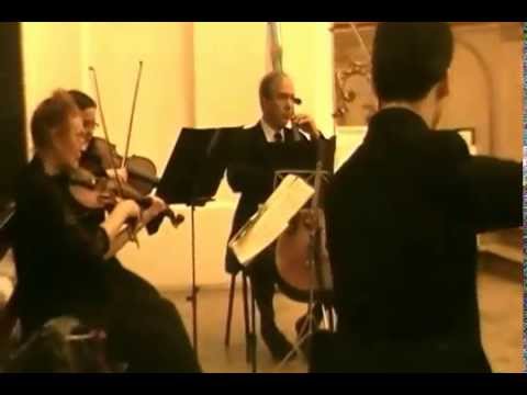 Cuarteto de cuerdas - Ave Maria (F. Schubert)