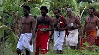 Oracles in Kerala