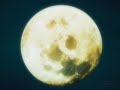 Black Cat AMV [My December]