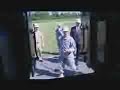 Marines Test MRAP