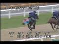 videos de [調教] 081008 ファインビスティー 「新馬」前追い切り