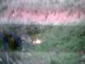 videos de bomba carta fallisce