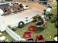 BBB8 - Rafinha e Felipe vestidos de Mosquito