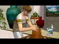 Los Sims 2 y sus Hobbies