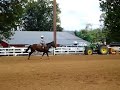 Hunter & Mindy, Little Tyke Barrel Race