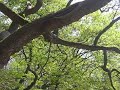 park4