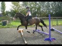 Splash *Flying Without Wings*