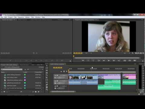how to control audio in premiere pro