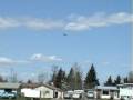 F-117 Dominator by Air Hogs