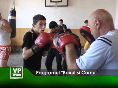 Programul “Boxul și Cornu”