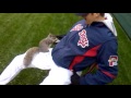 Squirrel Eats Seeds On Baseball Players Lap