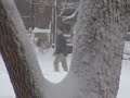 Minnesnowta