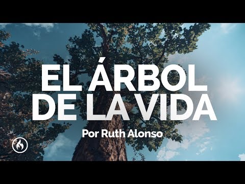 Ver video