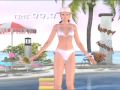 Dead or Alive:Adult Underwears( Dances&Hop-Steps) 1/8