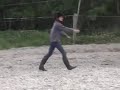 Wederspannig paard