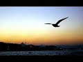 EZAN  ISTANBUL