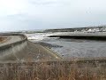 incredible new japan tsunami footage this man risked his life to film