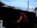 videos de Sped Run