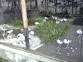 ??