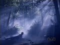 deliver me   wolf lake