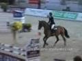Dressage and Jumping