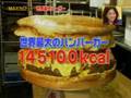 世界最大のハンバーガー! The Biggest HAMBURGER in the World!