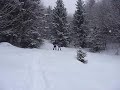 Lienz snow shoe