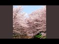 2019年3月14日