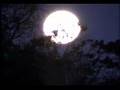 SONETO � LUA...