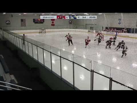 2024-25 : Season Summary - Points