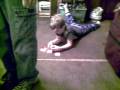 videos de bird cage knocked over