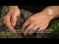 The advanced plant aquarium, Tropica Aquarium Plants The advanced plant aquarium, Tropica Aquarium Plants