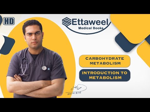Introduction to Metabolism