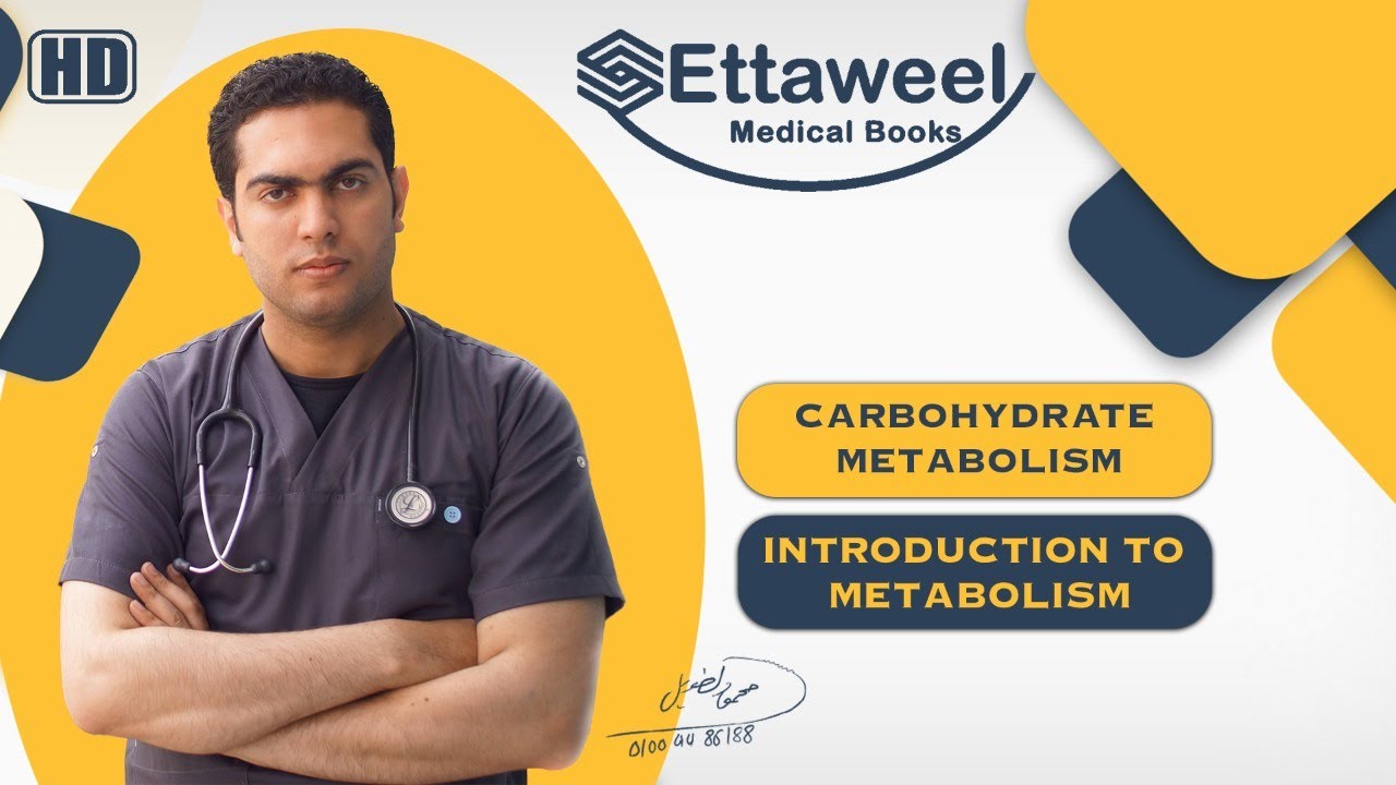 Introduction to Metabolism