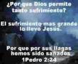 Salmo 91