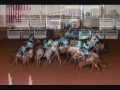 The Freedom Riders