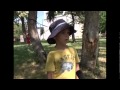 Video Video