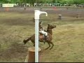 FIESTA CRIOLLA PARQUE Dr.ELIAS REGULES SARANDI DEL YI