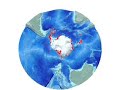 Antarctic Echinoids Distribution