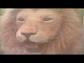 the-lion-the-witch-and-the-wardrobe-trailer.html
