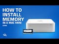 Mac mini (Early 2009) Memory Upgrade