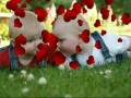 Landen & Lauren - The First Year