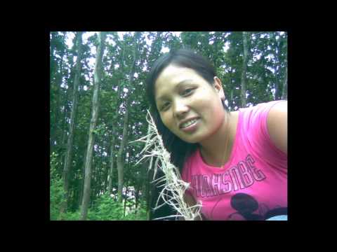 raju lama sentimentel song